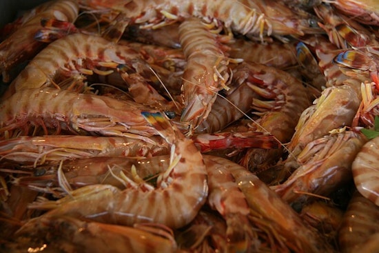 Three Men Cited for Exceeding Shrimp Limits at Pointe-aux-Chenes WMA in Terrebonne Parish