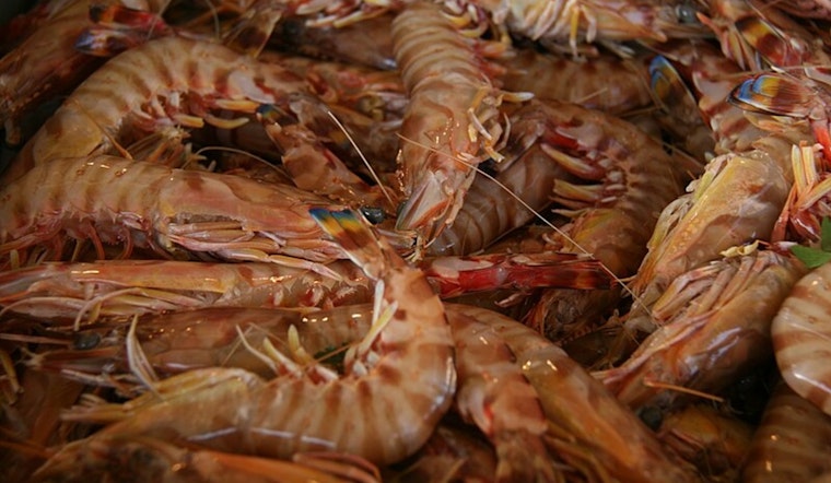 Three Men Cited for Exceeding Shrimp Limits at Pointe-aux-Chenes WMA in Terrebonne Parish
