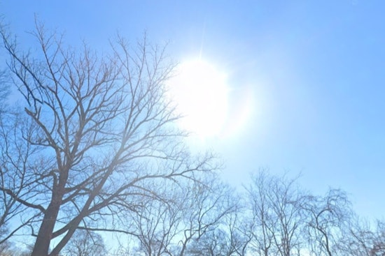 Thunderstorms Give Way to Tranquil Weather as Nashville Faces Drastic Shifts This Week