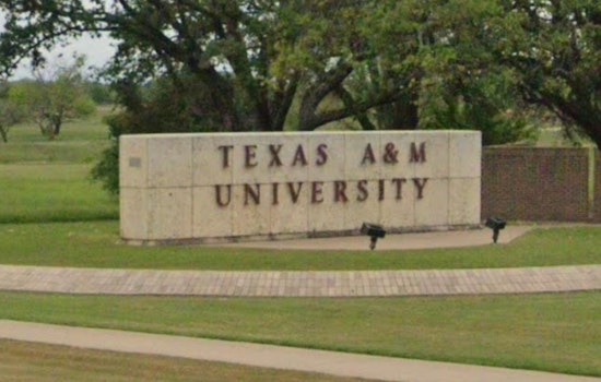 Tommy Williams Appointed as Interim President of Texas A&M University Amidst Institutional Turmoil