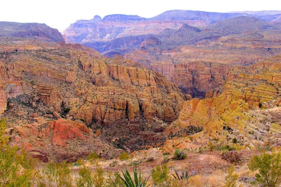 Tonto National Forest Announces Controlled Burns Near Roosevelt Lake to Prevent Wildfires