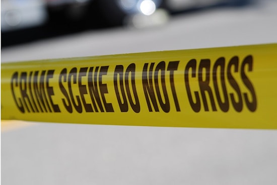 Triple Fatal Shooting in Dallas Residential Area Prompts Homicide Investigation, Police Seek Public's Help