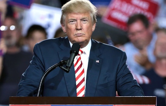Trump Prefers Democrat Over 'Communist' in Tight NYC Mayoral Race and Suggests GOP Candidate Step Down