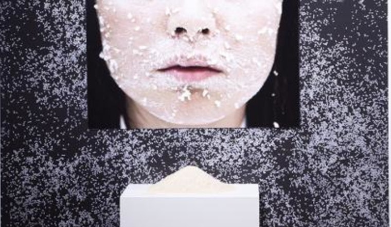 Tucson Artist Anh-Thuy Nguyen's "Rice is Mẹ" Exhibition to Explore Cultural Identity at Chandler Center for the Arts