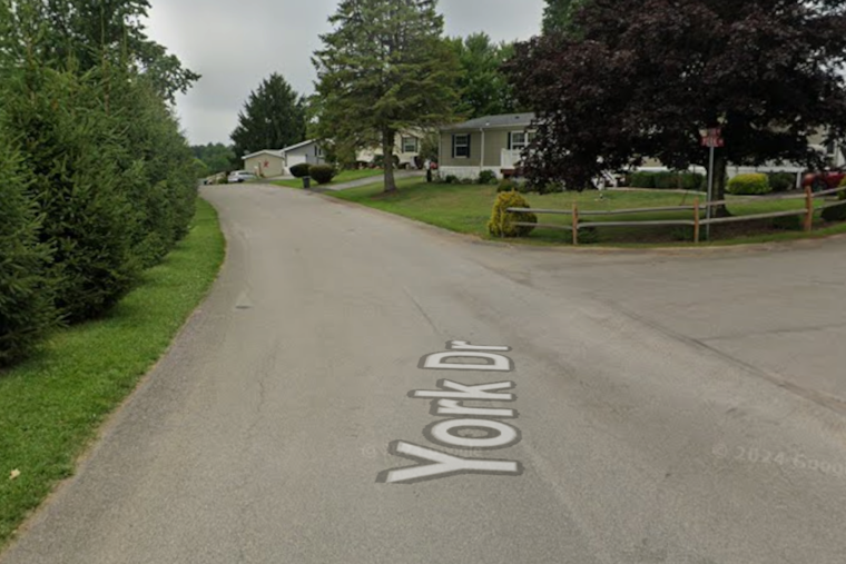 Two Hospitalized and Pets Perish in Devastating Cranberry Township Mobile Home Fire