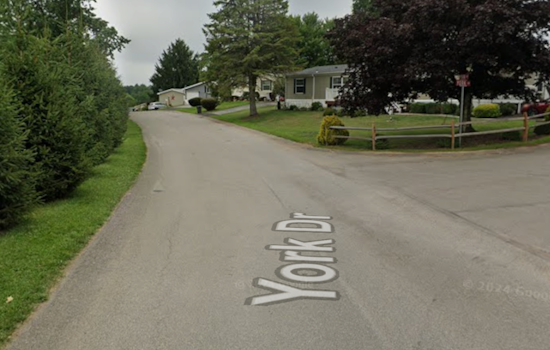 Two Hospitalized and Pets Perish in Devastating Cranberry Township Mobile Home Fire
