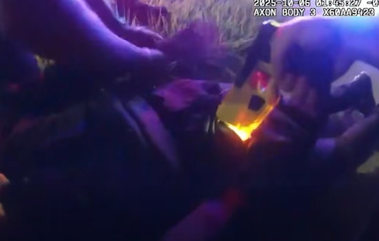 Two Juveniles Arrested in St. Johns County After High-Speed Chase and Foot Pursuit