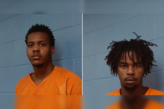 Two Suspects Charged With Alleged Cattle Theft at Flatonia Livestock Auction Amid Texas Agricultural Crime Wave