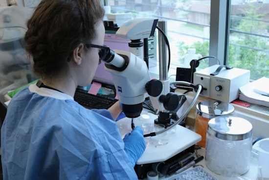University of Cincinnati Researcher Secures NCI Grant to Advance Treatment for KRAS-Mutated Colorectal Cancer