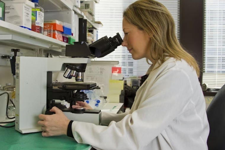 University of Cincinnati Study Explores Inflammatory Responses Key to Stroke Fatality Reduction