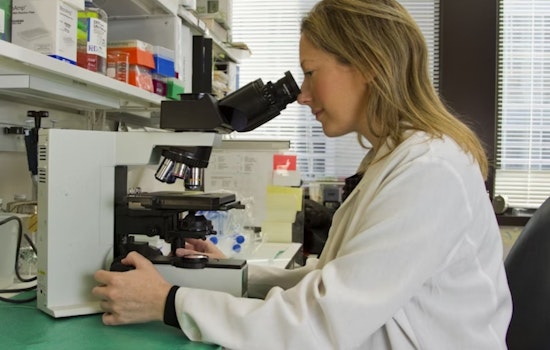 University of Cincinnati Study Explores Inflammatory Responses Key to Stroke Fatality Reduction