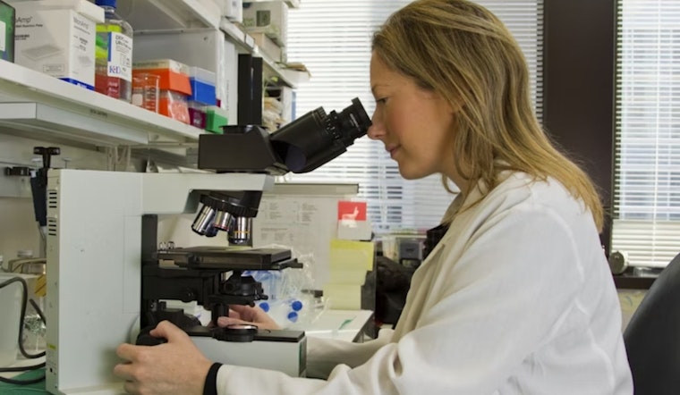 University of Cincinnati Study Explores Inflammatory Responses Key to Stroke Fatality Reduction