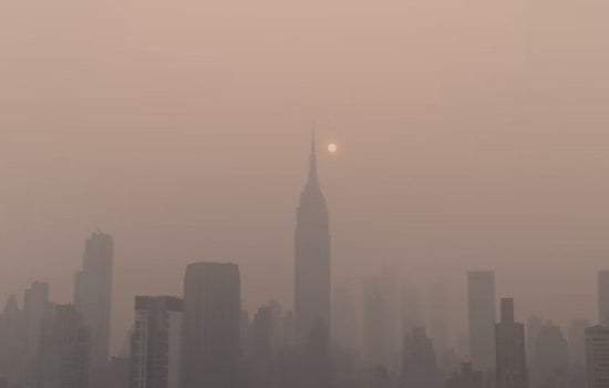 University of Washington Study Links Wildfire Smoke to Decline in Sperm Quality, Raising Fertility Concerns