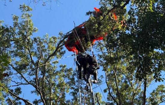 UPDATE: Nashville Skydiving Instructor Dies in Jump, Student Safely Rescued After Incident at John C. Tune Airport