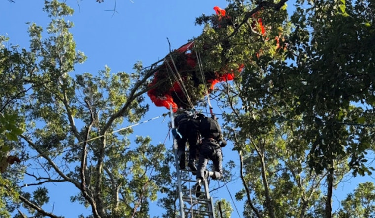 UPDATE: Nashville Skydiving Instructor Dies in Jump, Student Safely Rescued After Incident at John C. Tune Airport