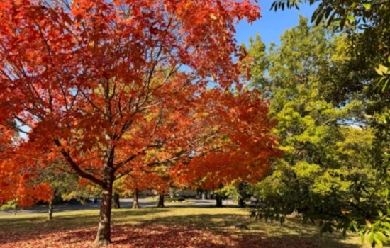 Upper Arlington Unveils Interactive Leaf Trail Map for Optimal Fall Foliage Viewing