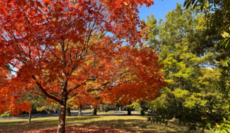 Upper Arlington Unveils Interactive Leaf Trail Map for Optimal Fall Foliage Viewing
