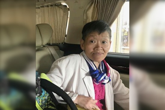 Urgent Search Underway for Missing 69-Year-Old Diana Wong in Chicago