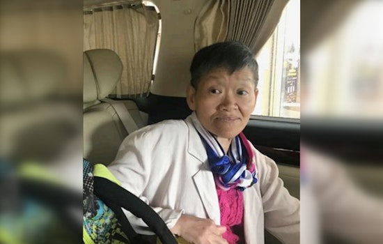 Urgent Search Underway for Missing 69-Year-Old Diana Wong in Chicago