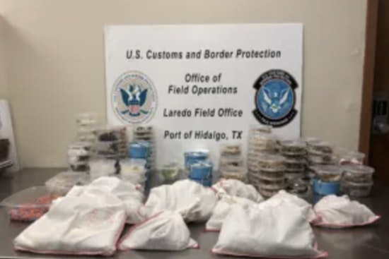 U.S. Customs Seizes Over 160 Exotic Species at Anzalduas Bridge in a Blow to Illegal Wildlife Trade
