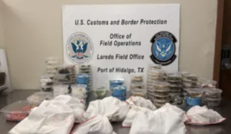 U.S. Customs Seizes Over 160 Exotic Species at Anzalduas Bridge in a Blow to Illegal Wildlife Trade