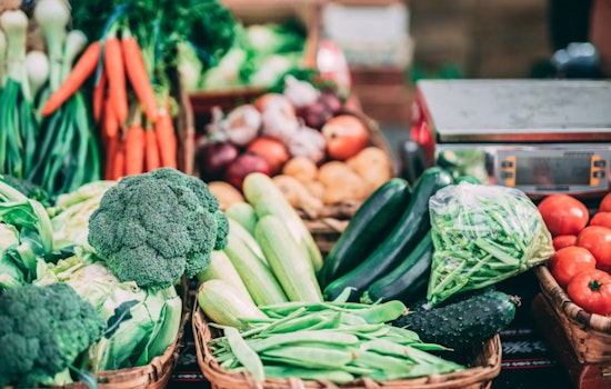 USDA to Halt SNAP Payments November 1 as Las Vegas Braces