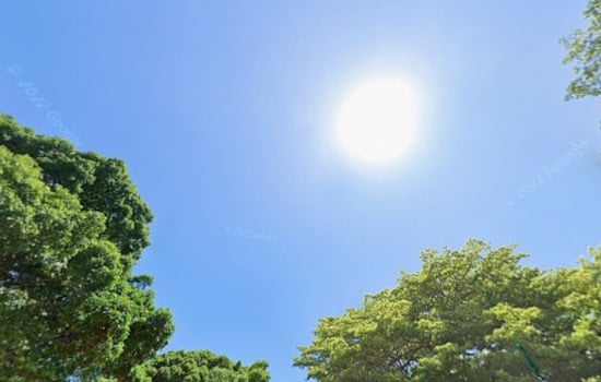 Warm and Sunny Week Ahead for Miami as National Weather Service Forecasts Minimal Rain Chances