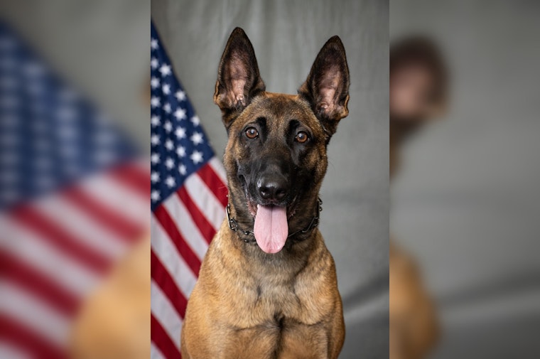 Washington County's Deputy Kalish and K9 Razor Take 3rd Place at Statewide Patrol Challenge