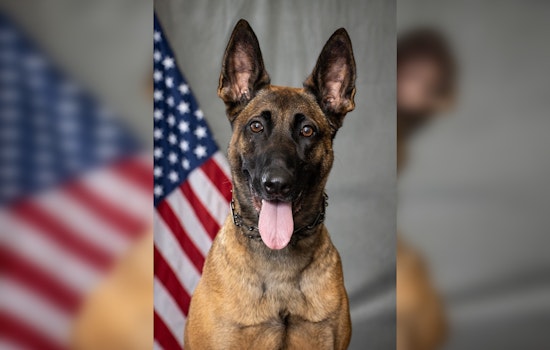 Washington County's Deputy Kalish and K9 Razor Take 3rd Place at Statewide Patrol Challenge