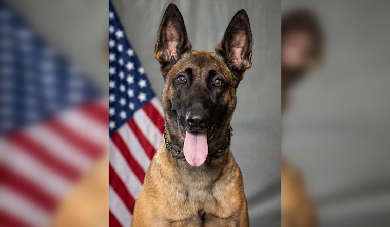 Washington County's Deputy Kalish and K9 Razor Take 3rd Place at Statewide Patrol Challenge