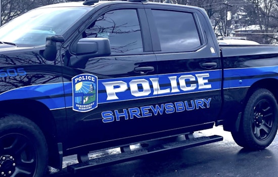 Week of Unrest in Shrewsbury as Police Respond to Domestic Disturbances Vehicle Break-Ins and Petty Crime