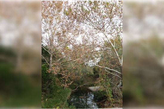 Wimberley Workshop Offers Free Educational Opportunity on Riparian and Stream Ecosystem Management