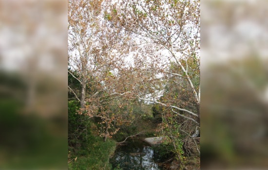 Wimberley Workshop Offers Free Educational Opportunity on Riparian and Stream Ecosystem Management