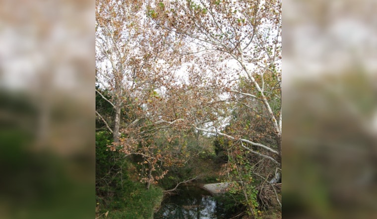 Wimberley Workshop Offers Free Educational Opportunity on Riparian and Stream Ecosystem Management
