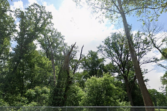 Wind Advisory Issued for Philadelphia, Wilmington, and Trenton as Gusts Up to 50 MPH Expected