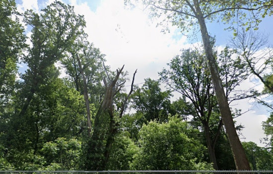 Wind Advisory Issued for Philadelphia, Wilmington, and Trenton as Gusts Up to 50 MPH Expected