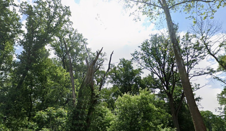 Wind Advisory Issued for Philadelphia, Wilmington, and Trenton as Gusts Up to 50 MPH Expected