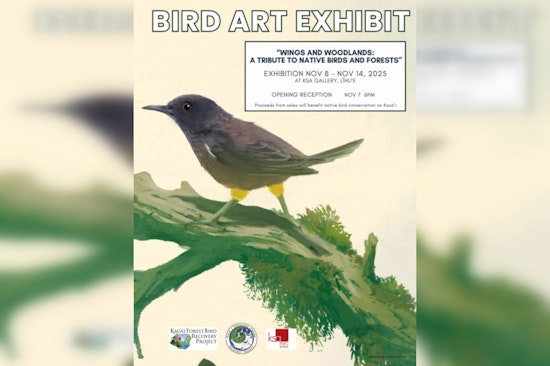 "Wings and Woodlands" Exhibition Returns to Kauaʻi with a Tribute to Native Birds and Forests