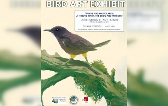 "Wings and Woodlands" Exhibition Returns to Kauaʻi with a Tribute to Native Birds and Forests
