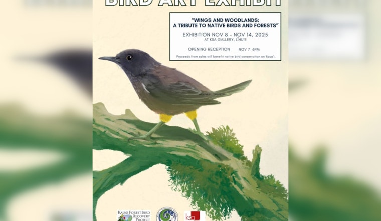 "Wings and Woodlands" Exhibition Returns to Kauaʻi with a Tribute to Native Birds and Forests