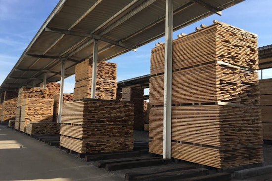 Wisconsin Celebrates Its Essential Forestry Industry During Forest Products Week