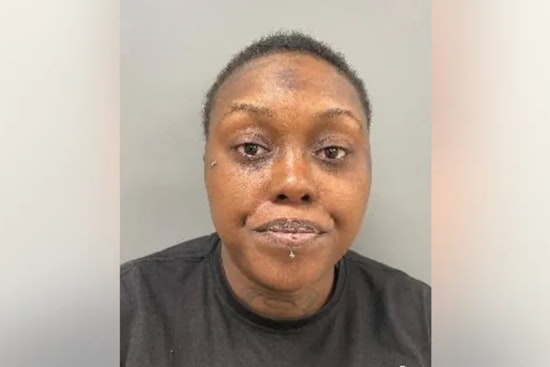 Woman Charged With Attempted Murder After Shooting on Bishop Ford Freeway in Chicago