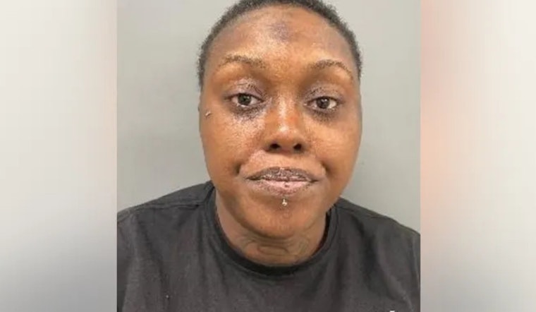 Woman Charged With Attempted Murder After Shooting on Bishop Ford Freeway in Chicago