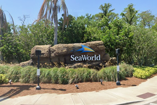 Woman Sues SeaWorld Orlando for Negligence After Duck Strike on Mako Coaster Causes Injuries