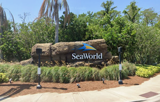 Woman Sues SeaWorld Orlando for Negligence After Duck Strike on Mako Coaster Causes Injuries
