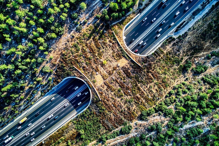 World's Largest Wildlife Crossing in LA Starts "Greening Phase" with Native Plants