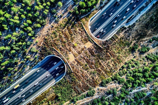 World's Largest Wildlife Crossing in LA Starts "Greening Phase" with Native Plants