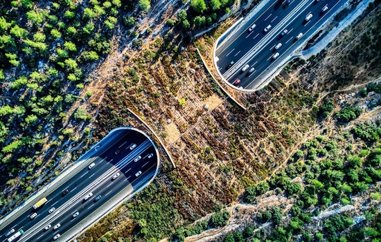 World's Largest Wildlife Crossing in LA Starts "Greening Phase" with Native Plants