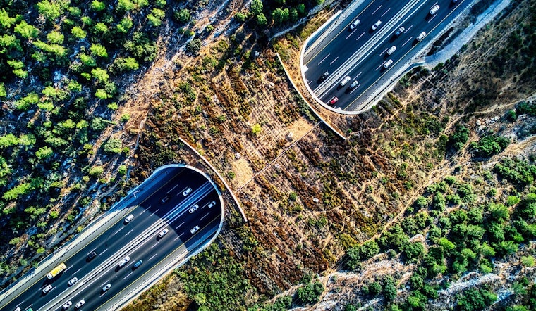 World's Largest Wildlife Crossing in LA Starts "Greening Phase" with Native Plants