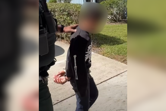 11-Year-Old in Volusia County Charged with Felony for Alleged School "Kill List"